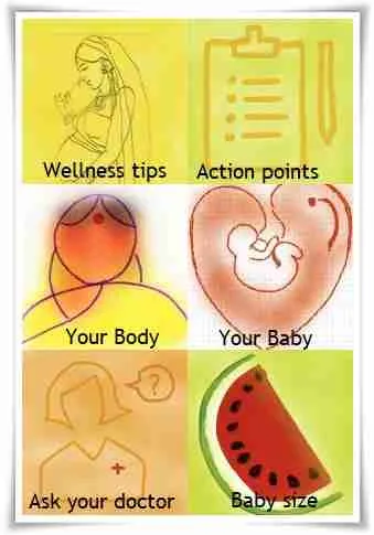 Pregnancy wellness programme