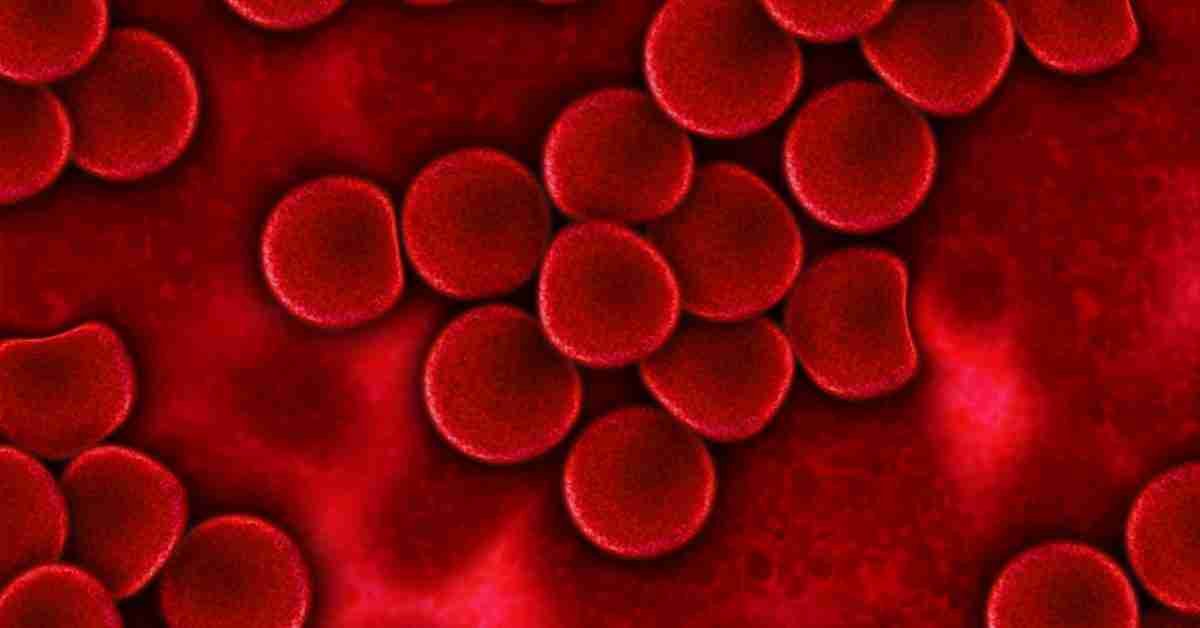 Banner image of থ্যালাসেমিয়া post showing red blood cells