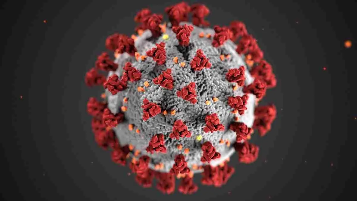 “Fight the virus, not people”