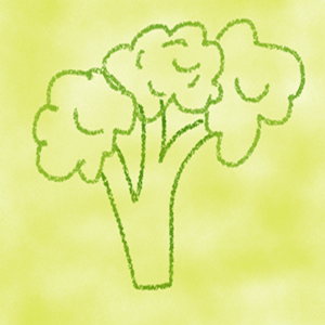 Size guide week 30 - image of Broccoli
