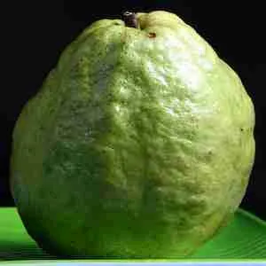 Image of guava for Week 15 size guide