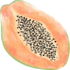 week 26 - image of melon or sweet papaya as size guide