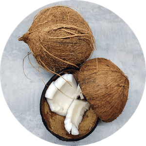 Image of coconut for week 31 size guide