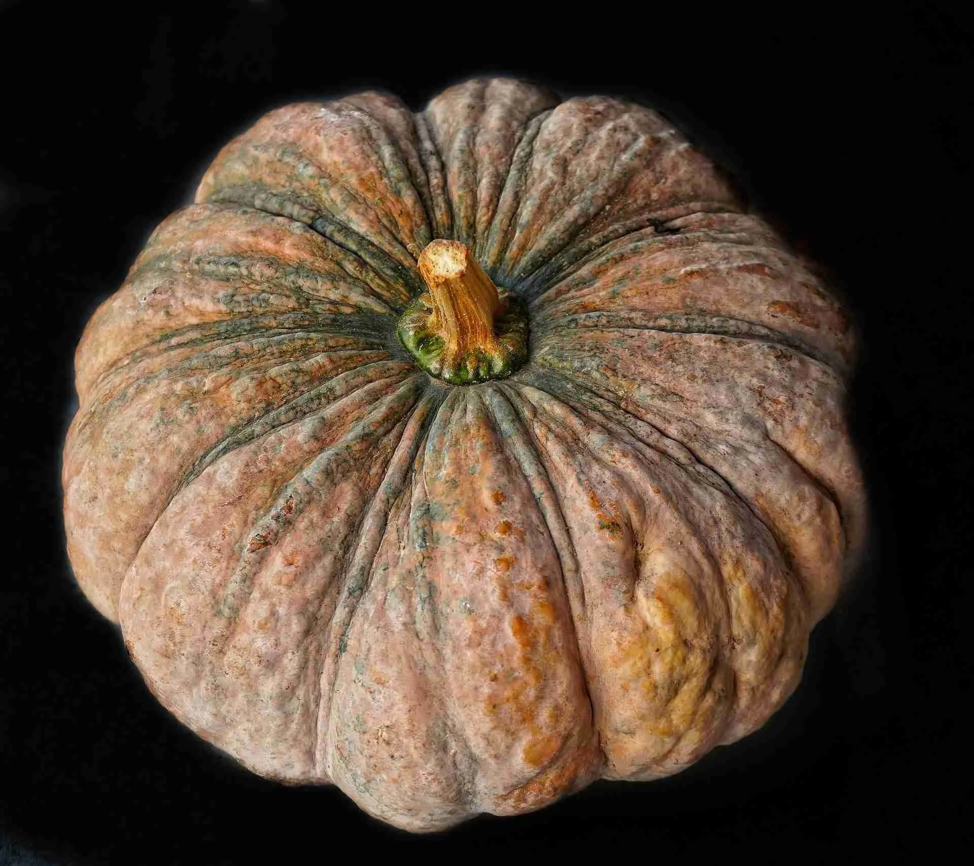 Baby size Image of Large Pumpkin as size guide for week 28