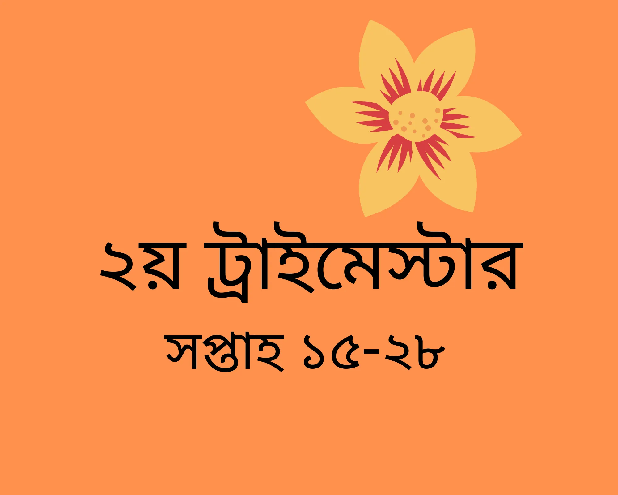 Click to find out in Bengali how to have wellbeing in the second trimester of your pregnancy.